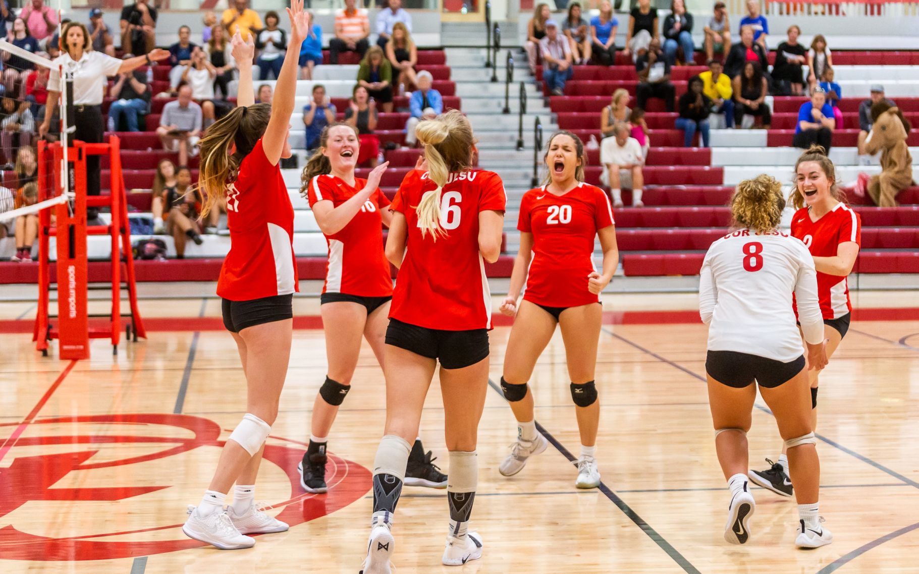 Cor Jesu vs. Edwardsville volleyball